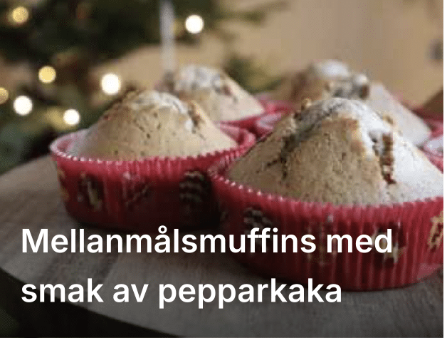 Skärmavbild 2025-11-10 kl. 14.11.25